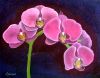 orchid 2, 50х40 cm.jpg